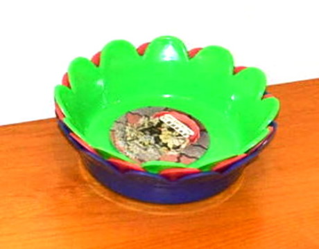 園藝用品 - 塑膠花盆