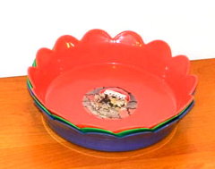 塑膠用品 - 園藝用品 - 塑膠花盆